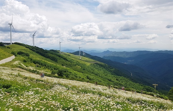 평창 가볼만한곳