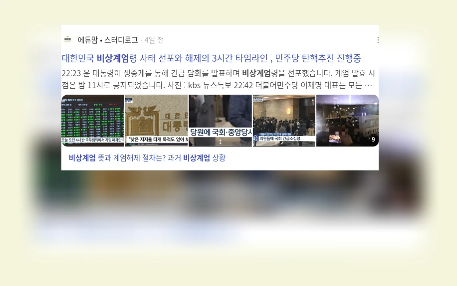 비상계엄_3_subsection