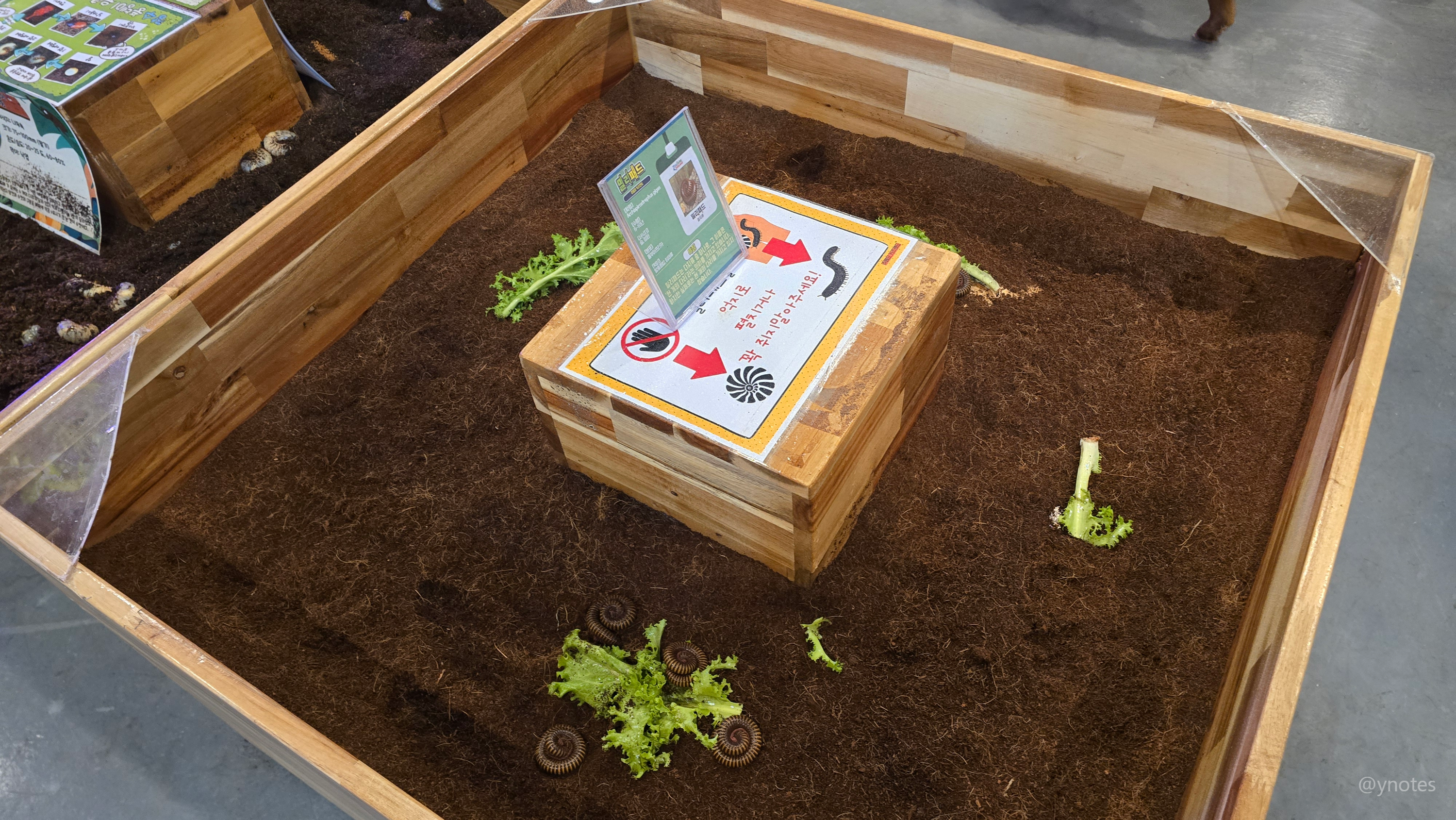 쥬뗌므 키즈랜드