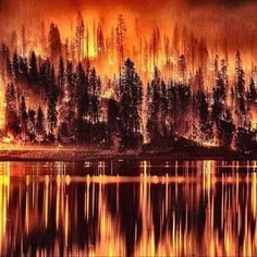 산불이-호수에-비치는-사진