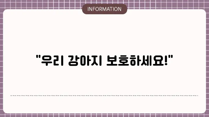 강아지 비문등록 등록증 발급 변경하는 방법