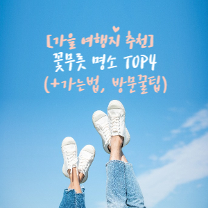 꽃무릇명소