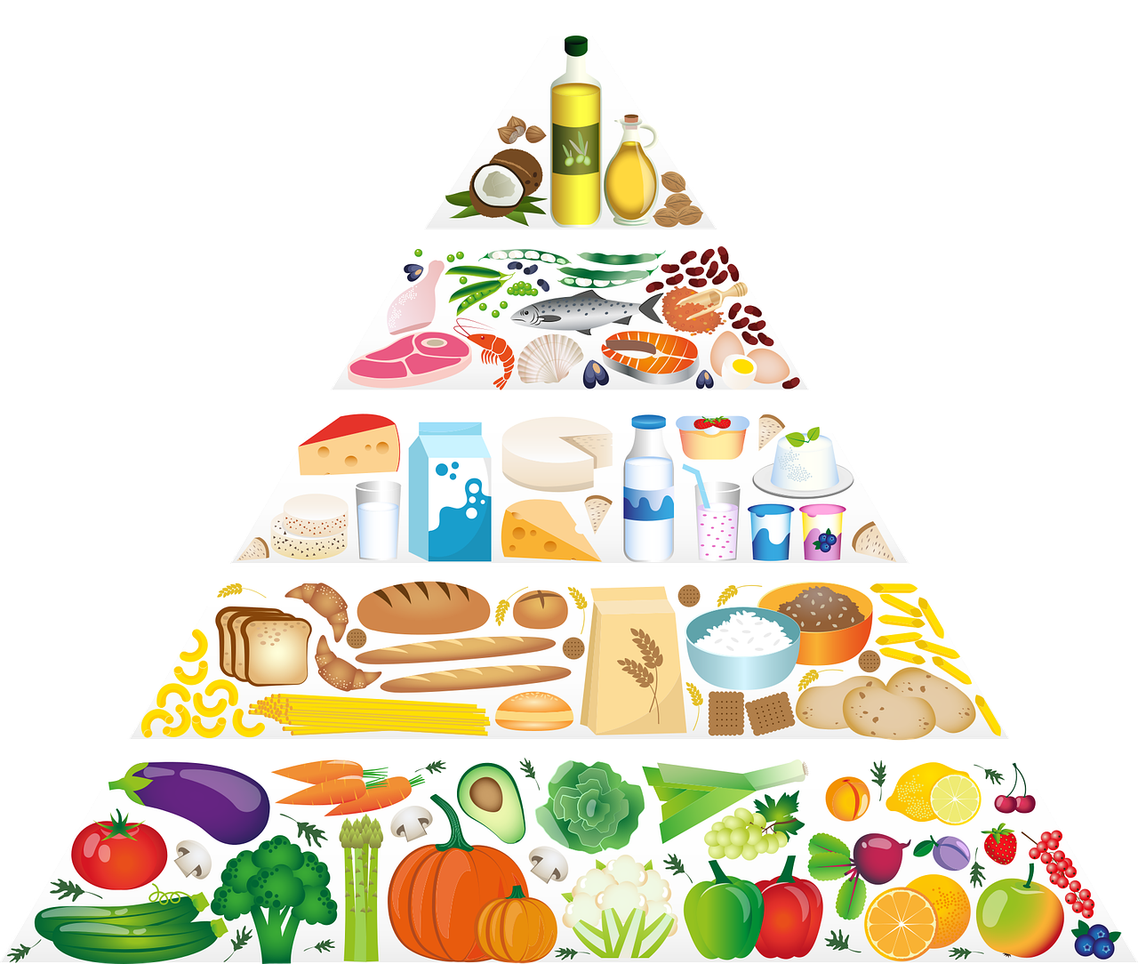 연령대별로 꼭 먹어야 하는 식품과 영양소