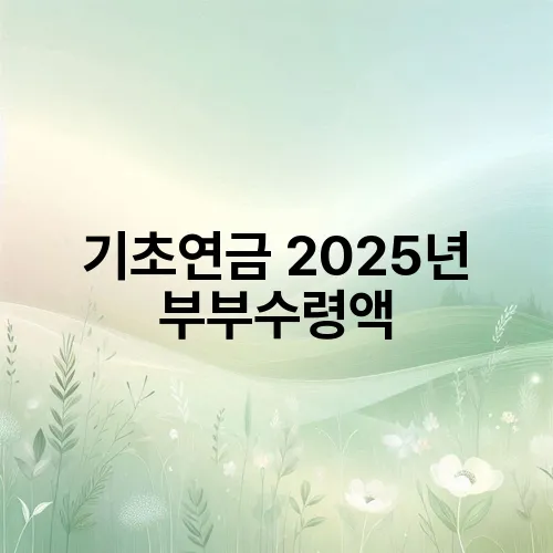기초연금 2025년 부부수령액