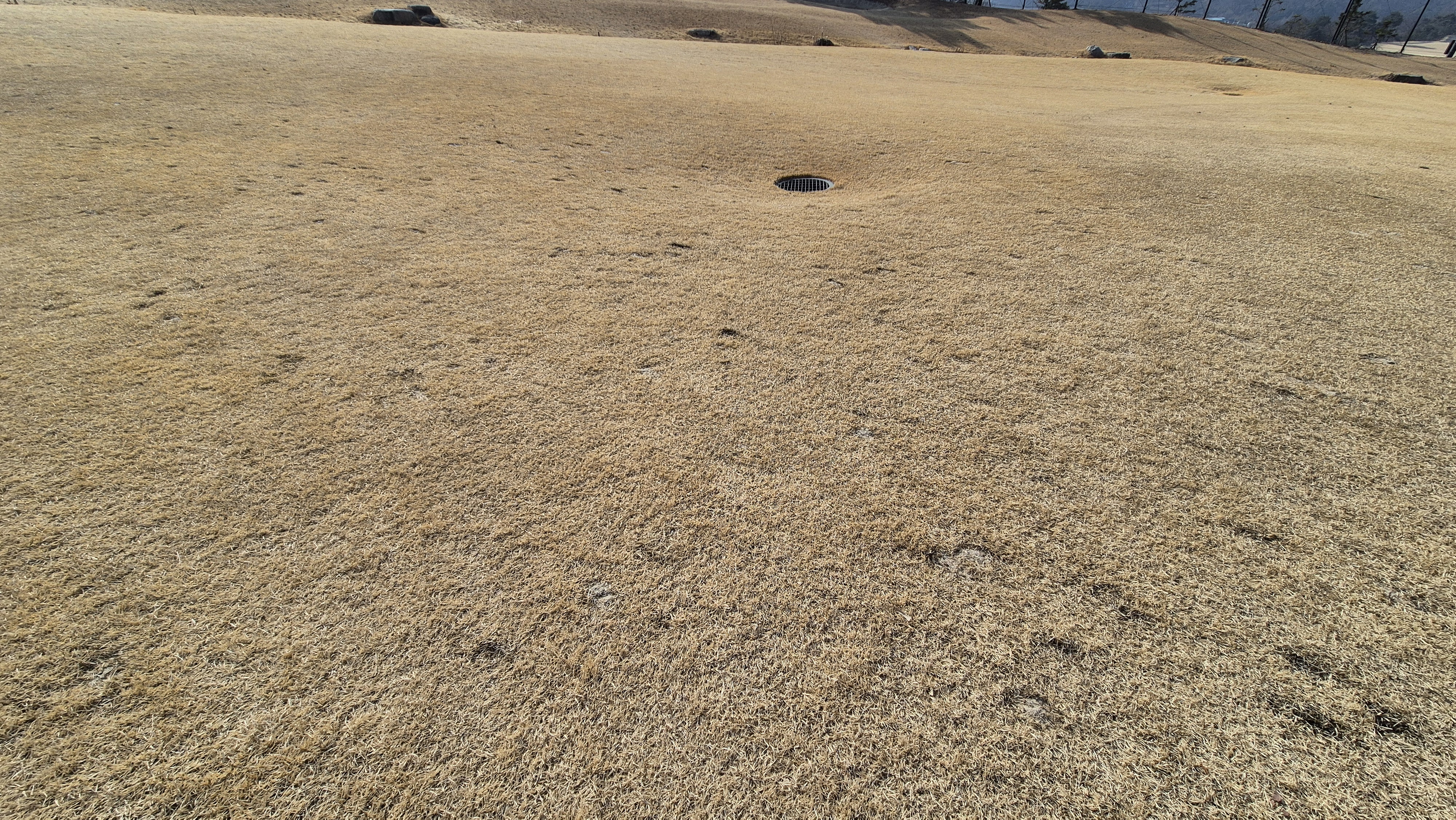 이글몬트cc 히든-이글 코스 라운드 후기