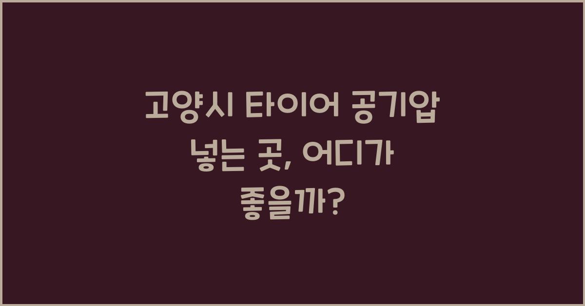 고양시 타이어 공기압 넣는 곳