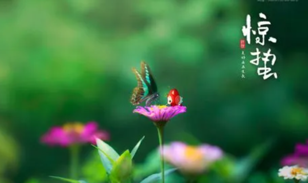 계절의 변화를 세분화한 24 절기 중 '경칩' 이해하기