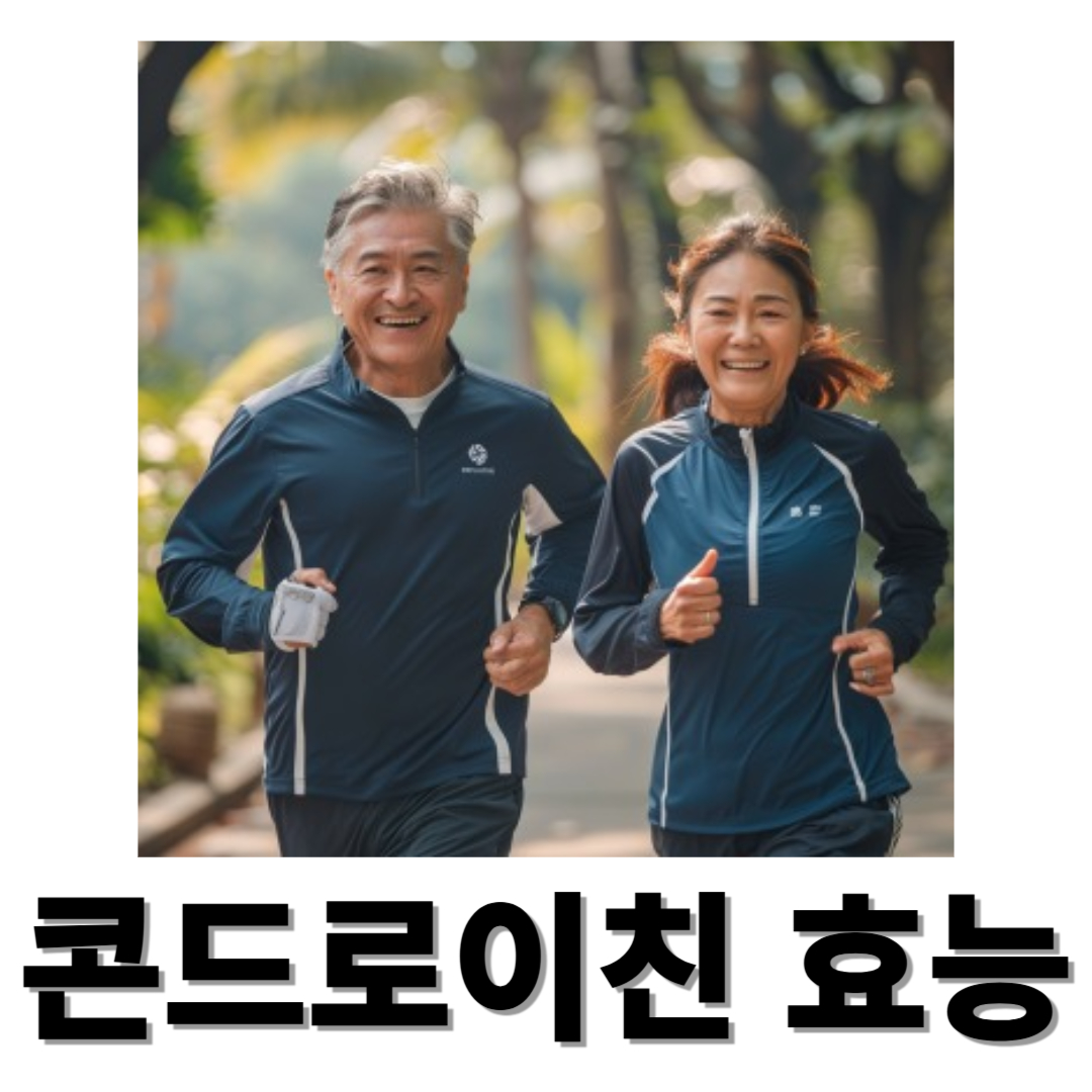 콘드로이친과 관련된 사진입니다.