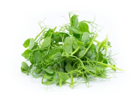 봄 캠핑 바비큐의 꽃: 알싸한 달래와 아삭한 대파의 만남, 실패 없는 무침 가이드