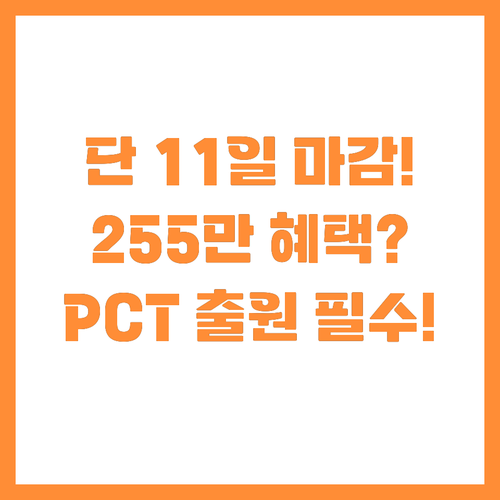 단 11일 경북 PCT 255만원 글..
