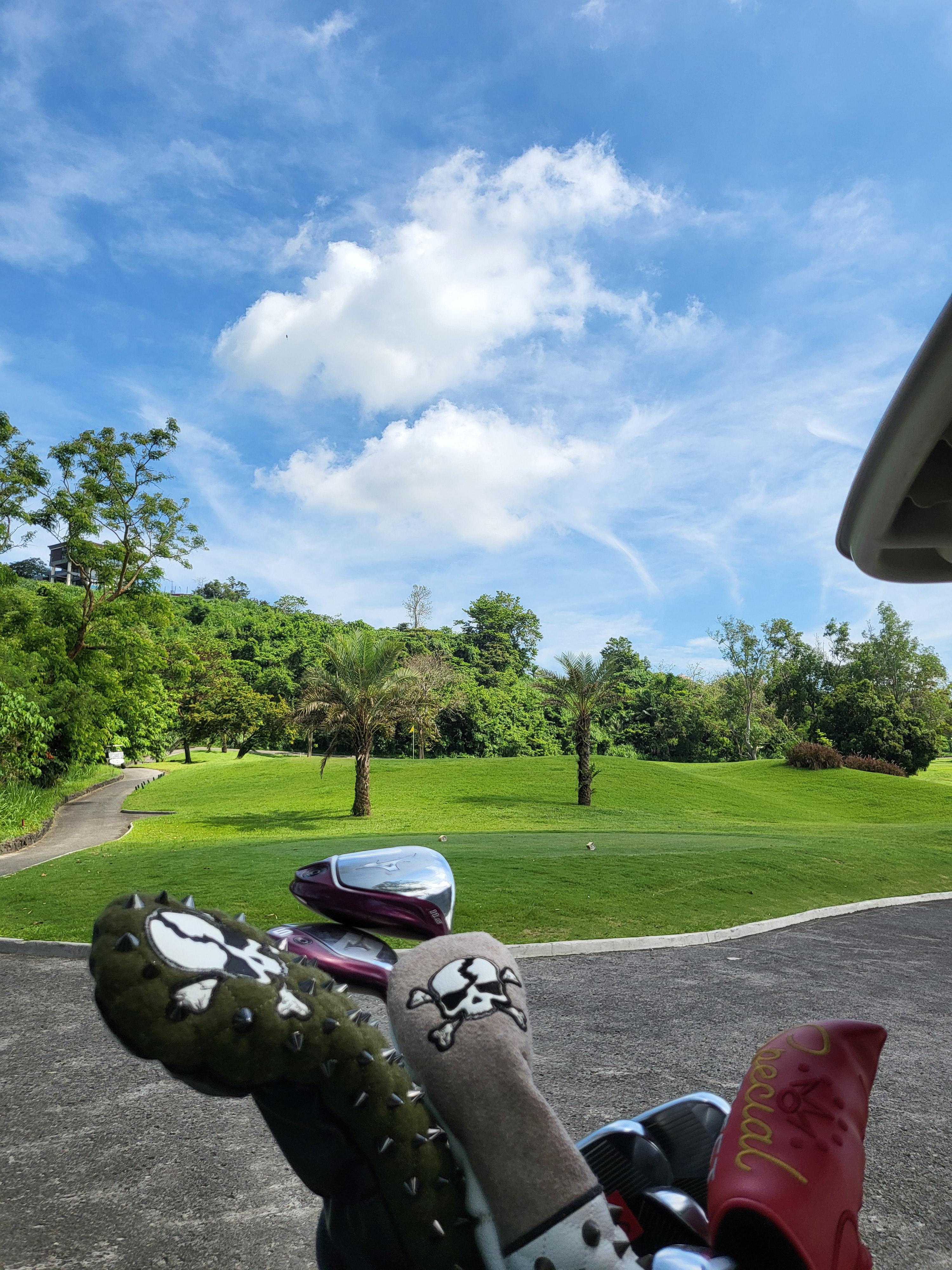 골프카트에 실린 클럽