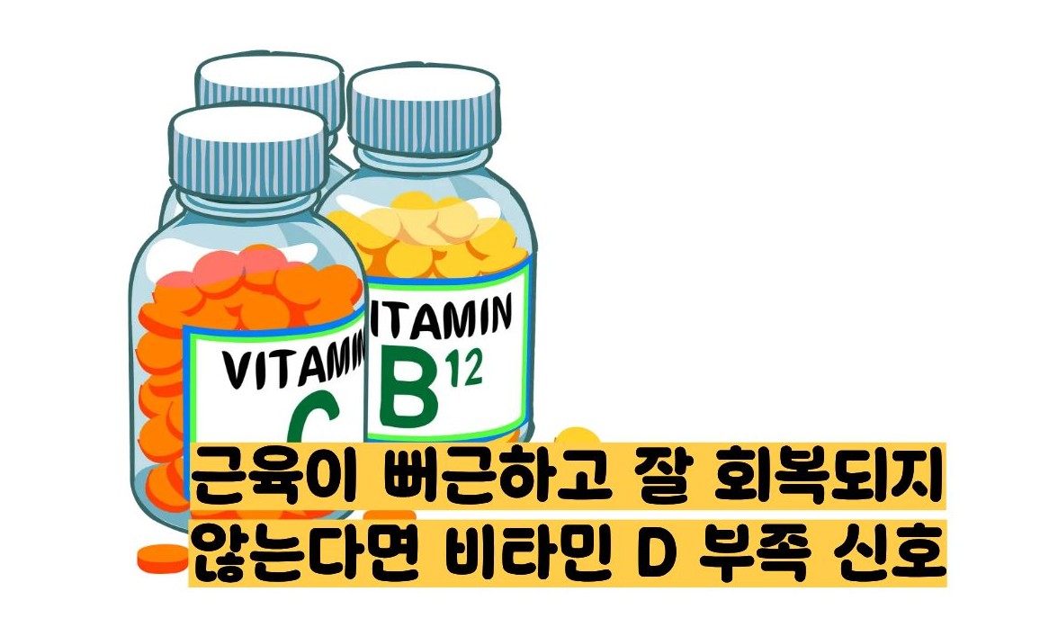 비타민d 부족증상