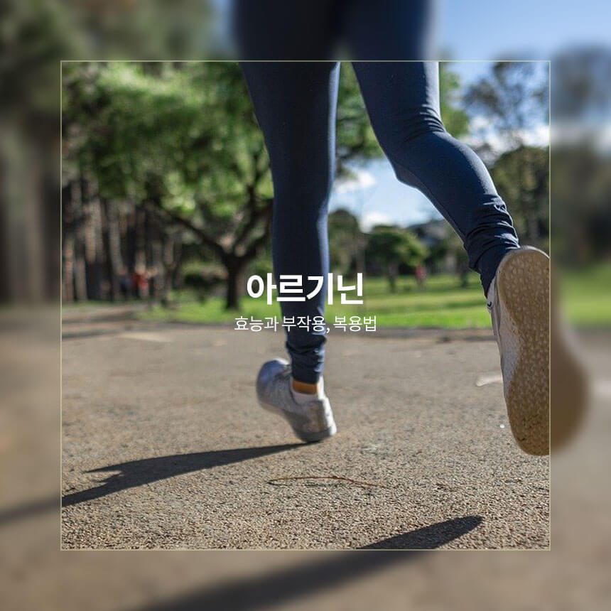 아르기닌 효능&#44; 부작용&#44; 복용법