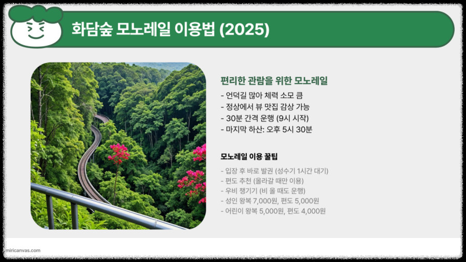 2025년 화담숲-봄맞이 최고의 벚꽃 명소