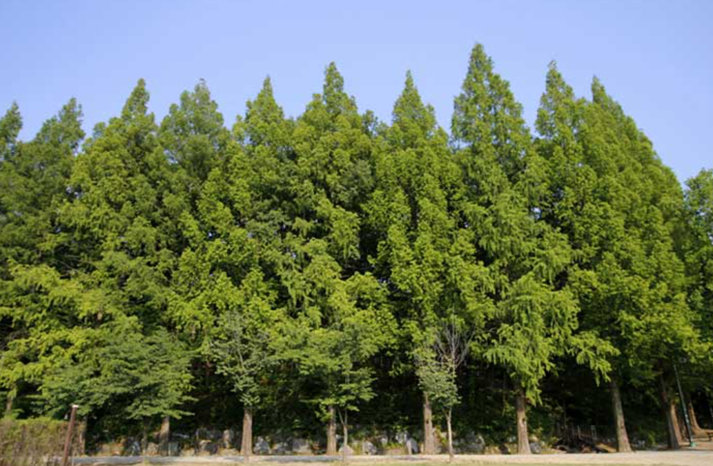 대전 가볼만한곳 베스트10