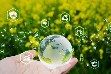 탄소중립포인트의 운영 방식