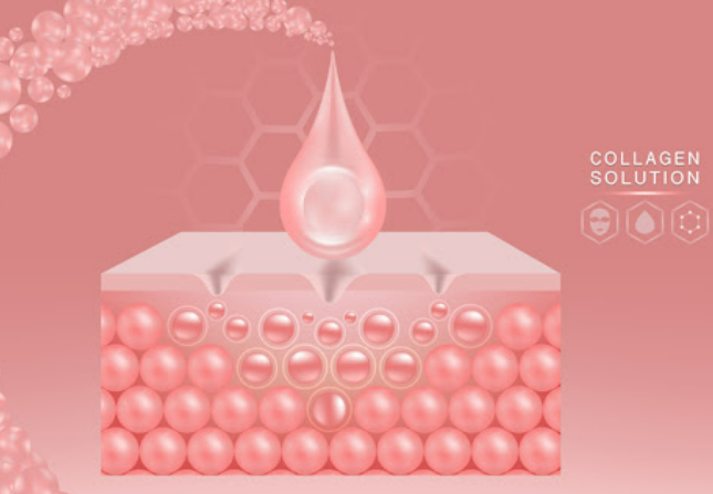 나이가 들수록 콜라겐이 중요한 이유(4)