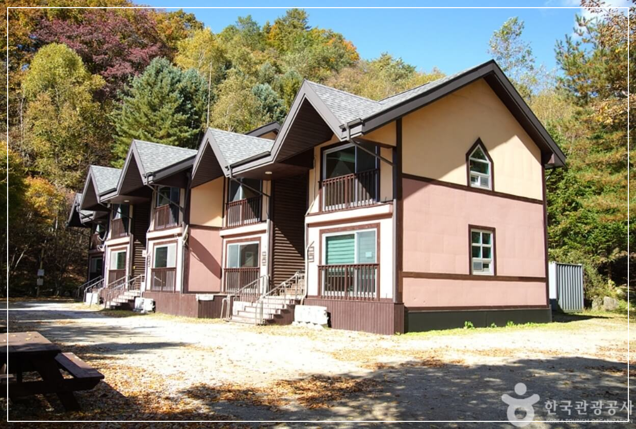 철원 가볼만한곳 베스트10 국립 복주산자연휴양림