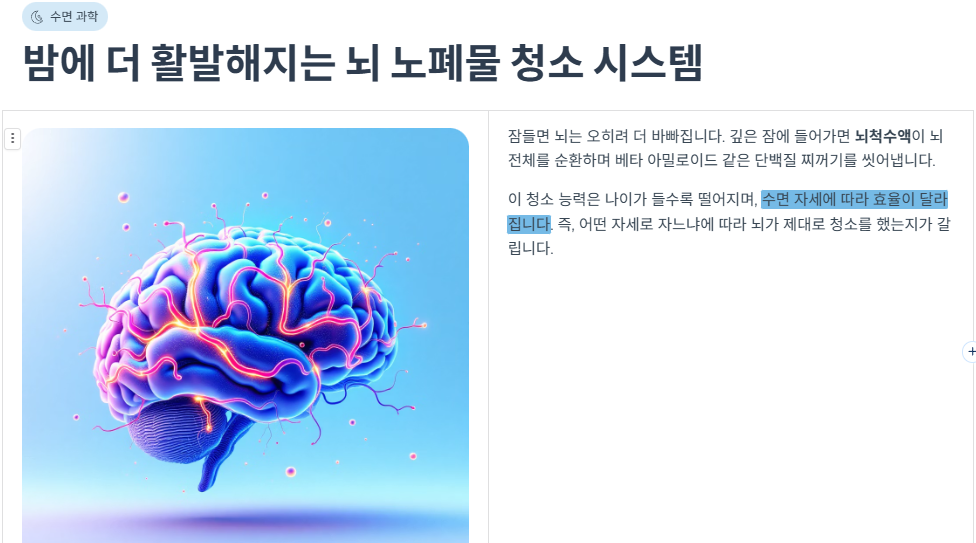 밤에 더 활발해지는 뇌 노폐물 청소 시스템