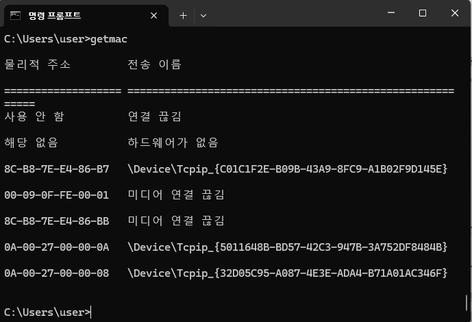 내 컴퓨터의 고유 물리 주소 확인