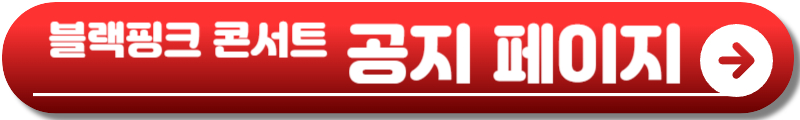 블랙핑크 콘서트