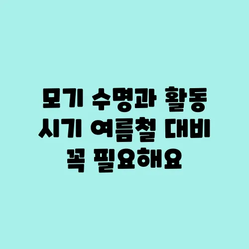 모기 수명과 활동 시기 여름철 대비 꼭 필요해요