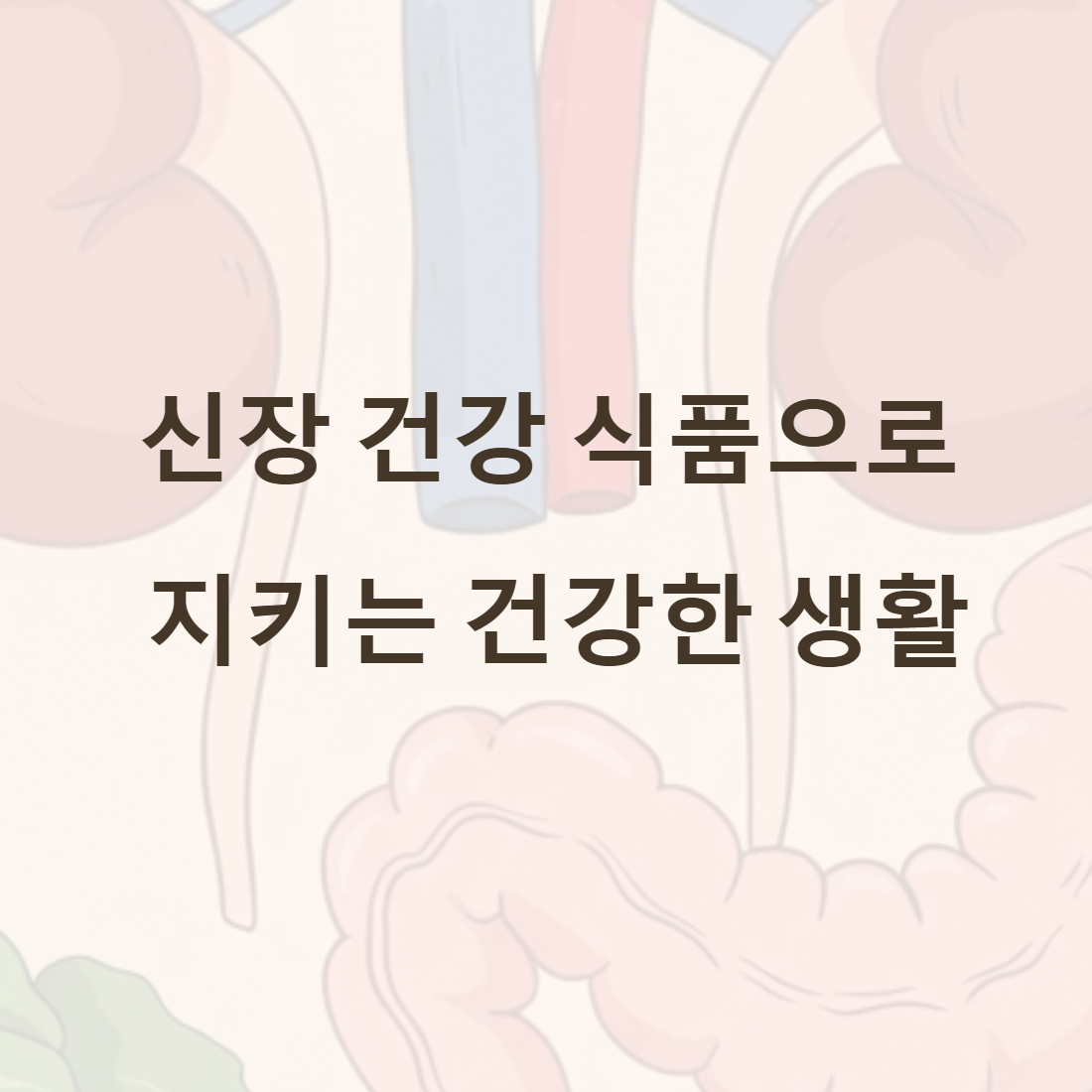 신장 건강 식품