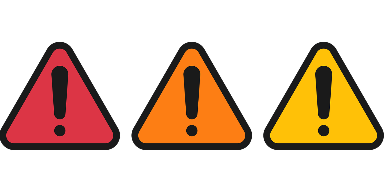 2025 더현대 팝업 반려동물 출입 가능 여부