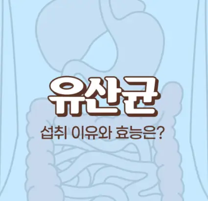 유산균 효능