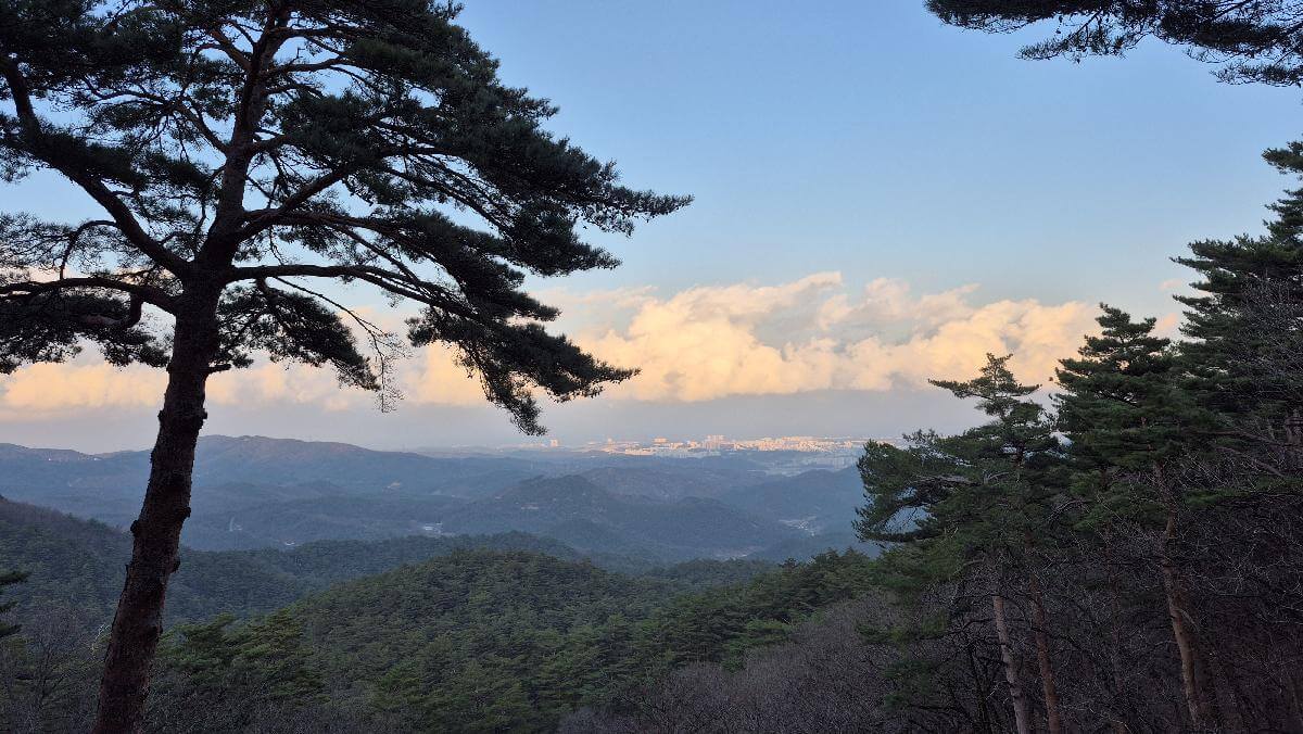 산림청 명품숲길 겨울 트레킹 : 대관령소나무숲길, 국가숲길·금강송