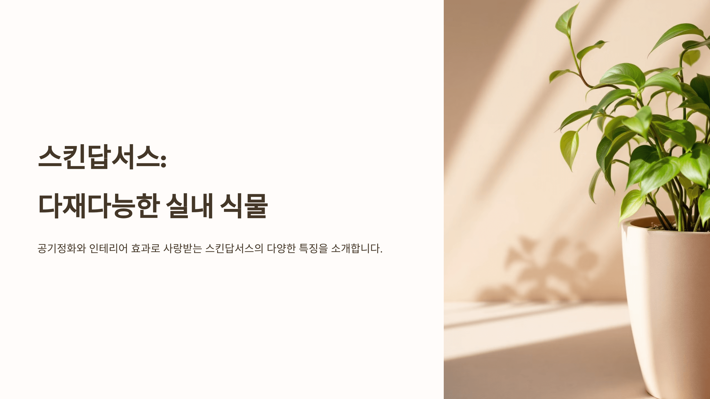 스킨답서스와 관련된 사진입니다.