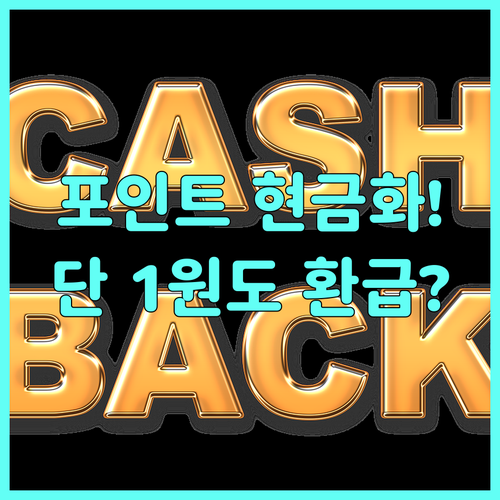 카드사별 포인트 환급 단위와 현금화 ..