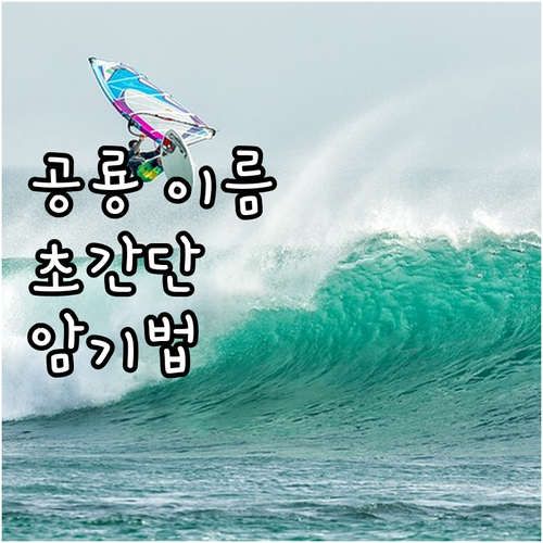 공룡 이름, 더 이상 끙끙 앓지 마세