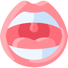 입안이 쓴 이유