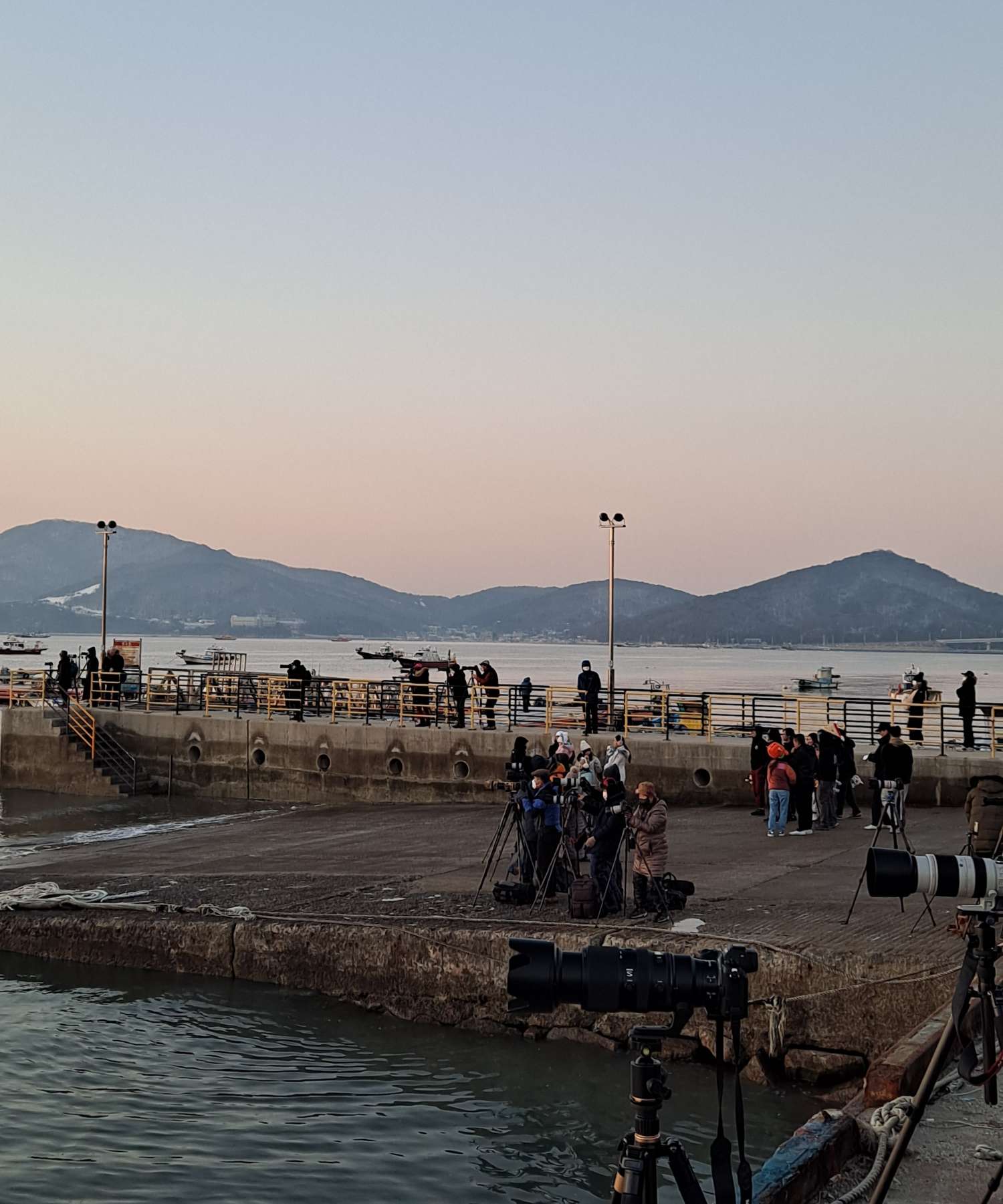 해뜨기 전 모여든 이들