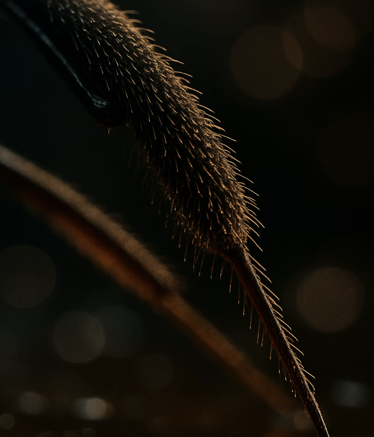 물을 밀어내는 방수 부츠의 비밀