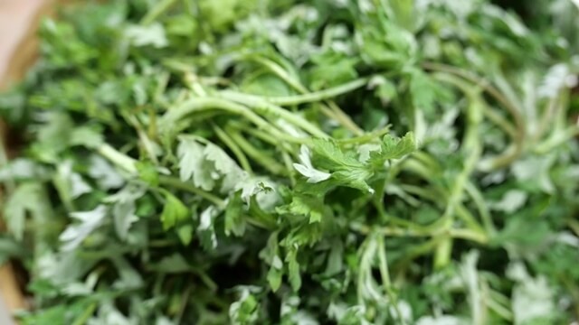 봄나물로 지키는 신장 건강