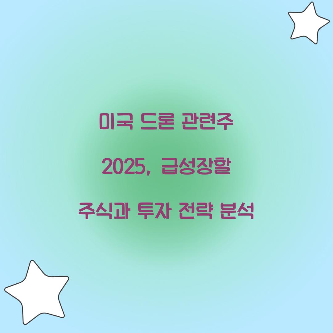 미국 드론 관련주 2025