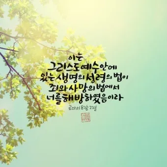 로마서 8장 성령 생명 묵상_24