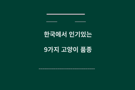 고양이 품종