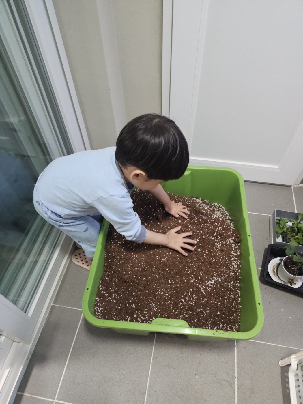 2025년 오산시 도시농업 힐링그린텃밭 - 지원부터 수령까지