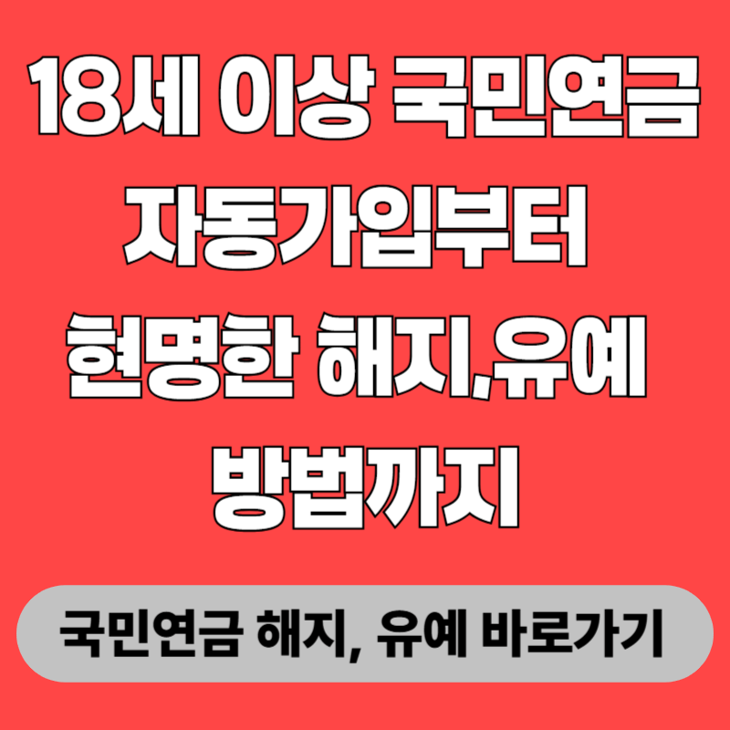 18세 이상 국민연금 자동가입부터 현명한 해지,유예 방법까지