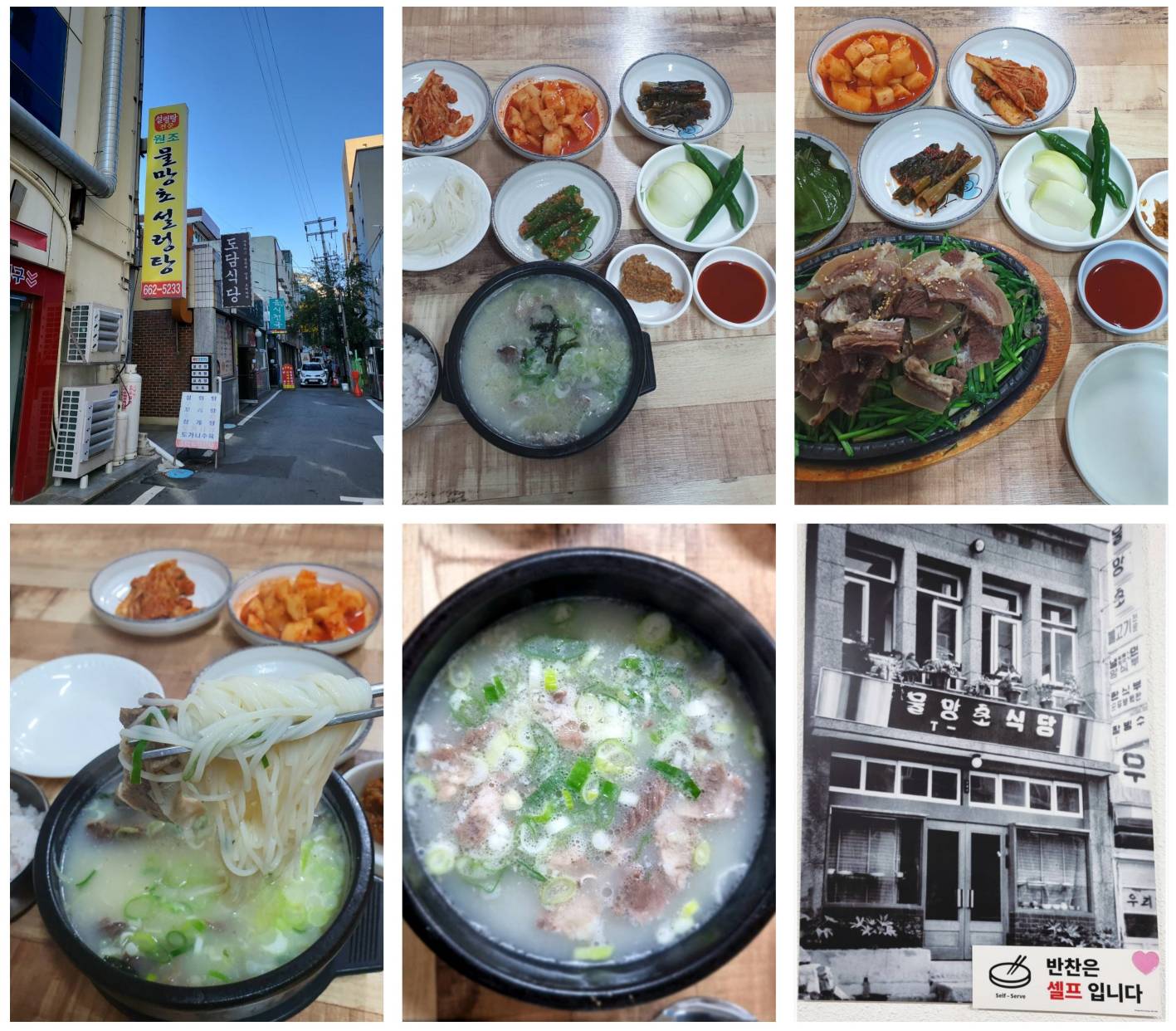 물망초 설렁탕 맛집