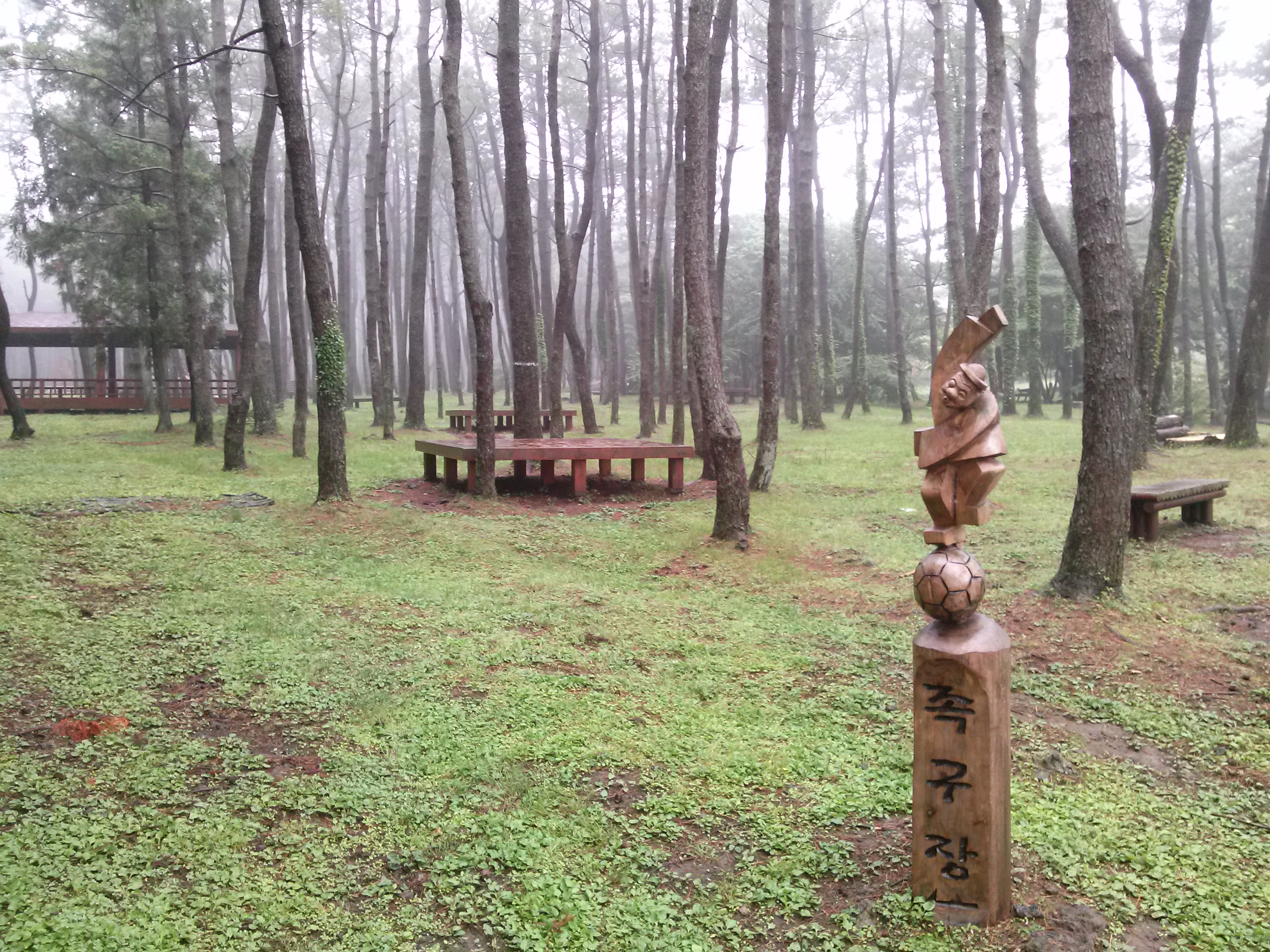 절물자연휴양림(Jeju Jeolmul Recreational Forest)