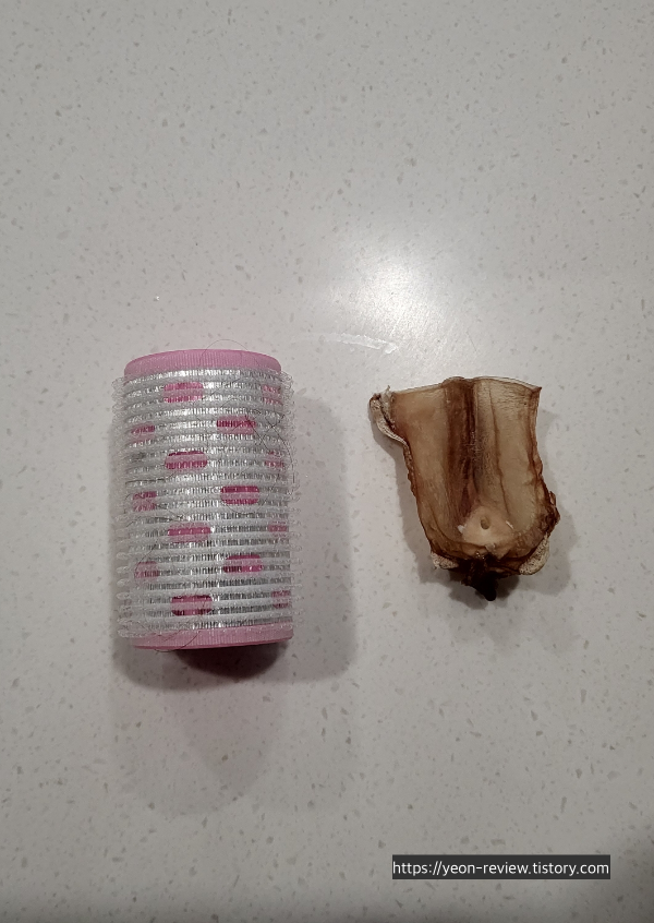 강아지간식오리오돌이