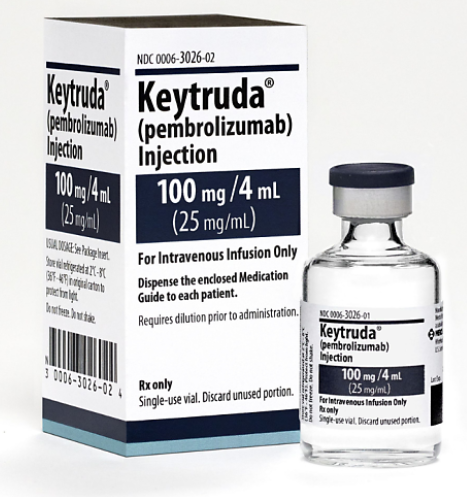 카투류다-사진1