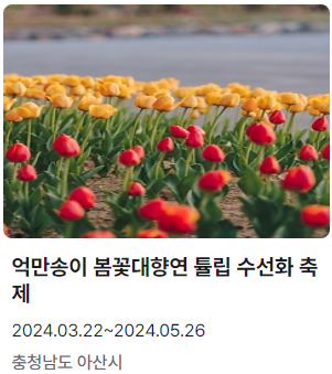 수선화 축제