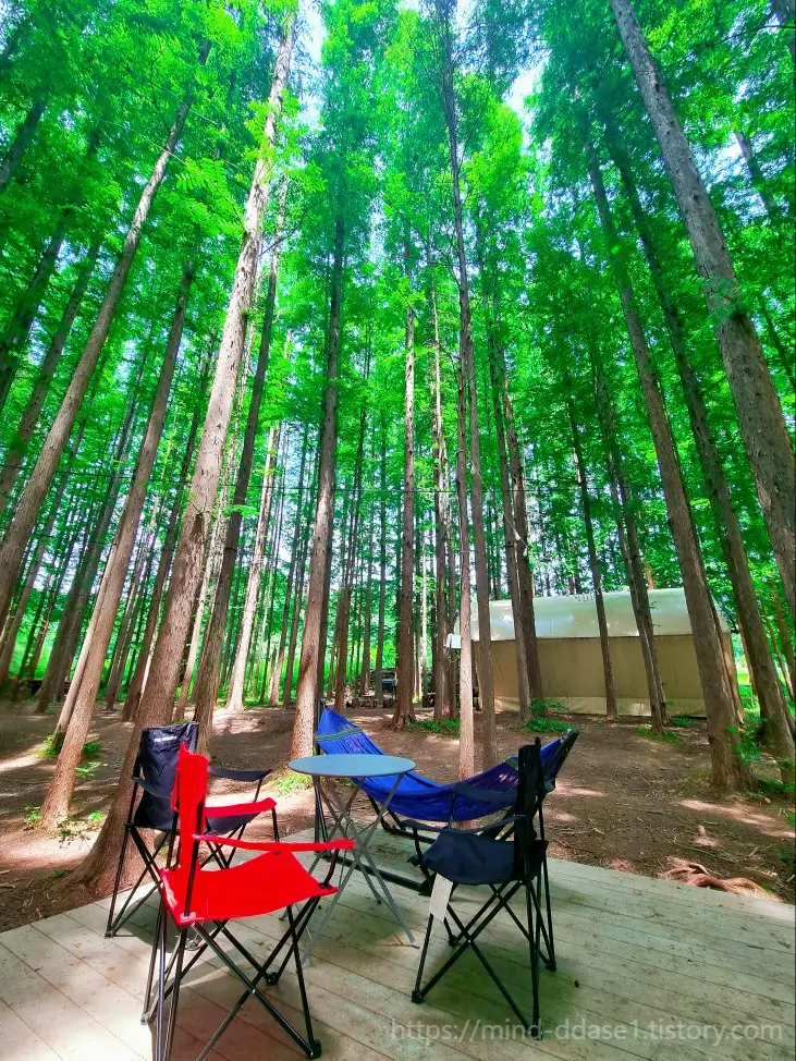인천 카페 추천, 강화 메타포레스트: 숲 속 캠핑 감성, 가는 길 주의사항, 주차장