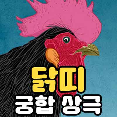 닭띠 궁합 상극