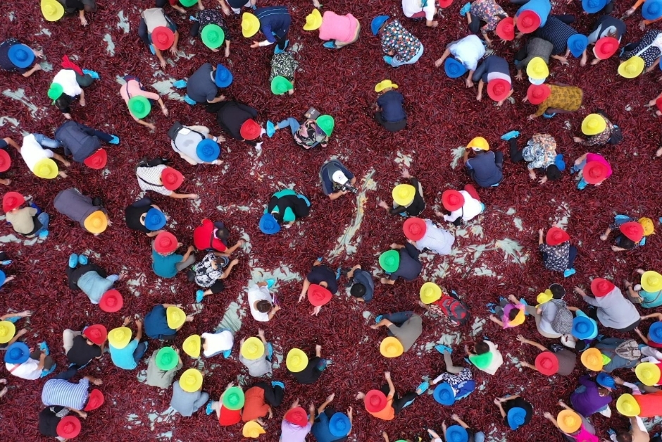 2024 괴산고추축제 HOT&amp;COOL 기본일정과 프로그램 정리 송가인 진욱 케이시 설운도 안예은 윤마치 윤현수(작년 대상수상자) 출연